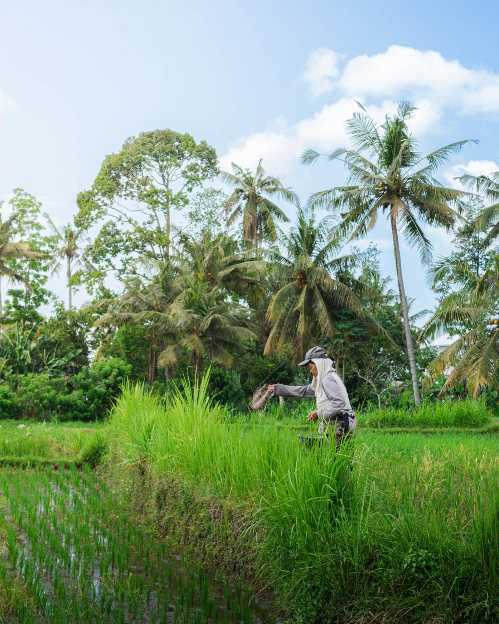 Tannari Villa Ubud المظهر الخارجي الصورة